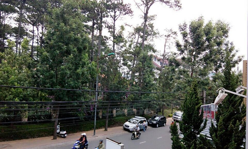 Trang Thanh 2 Guest House Da Lat Eksteriør billede